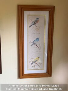 Framed-Set-of-Three-Bird-Prints-Lazuli-Bunting-Mountain-Bluebird-and-Goldfinch