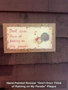 Hand-Painted-Rooster-Dont-Even-Think-of-Raining-on-My-Parade-Plaque