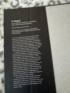 In-Vogue-The-Illustrated-History-of-the-Worlds-Most-Famous-Fashion-Magazine-second-image