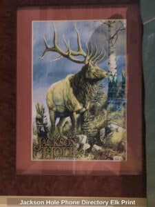 Jackson-Hole-Phone-Directory-Elk-Print