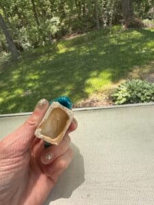 Japanese-Cloisonn-Enamel-Vase-with-Floral-Motif