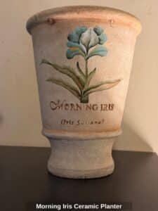 Morning-Iris-Ceramic-Planter