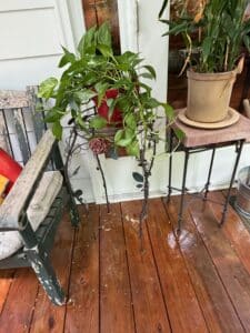 Ornate-Wrought-Iron-Plant-Stand-with-Rose-Embellishment