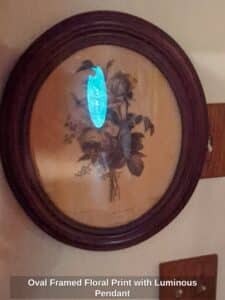 Oval-Framed-Floral-Print-with-Luminous-Pendant