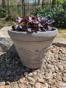 PXL_20260407_185812382