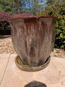 PXL_20260407_185845797