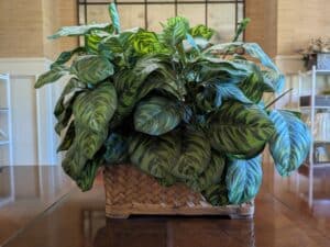 PXL_20260407_190300054