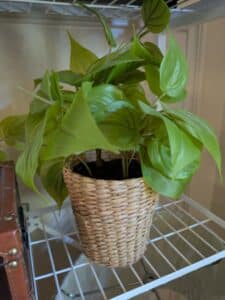 PXL_20260407_191332925