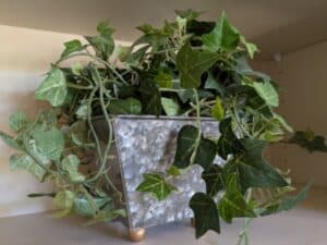 PXL_20260407_192513893