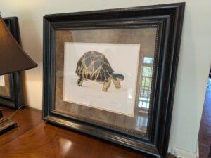 PXL_20260407_193058936