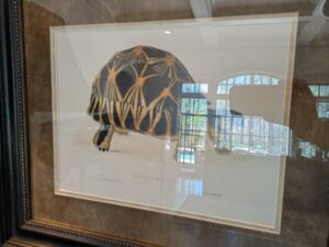 PXL_20260407_193101683