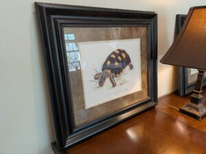 PXL_20260407_193106766