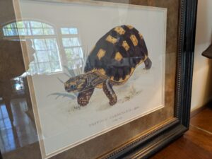 PXL_20260407_193108733