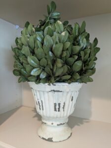 PXL_20260407_193141121