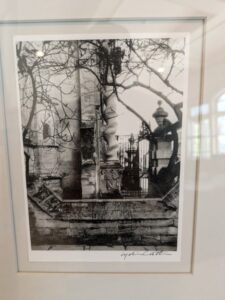 PXL_20260407_193150516