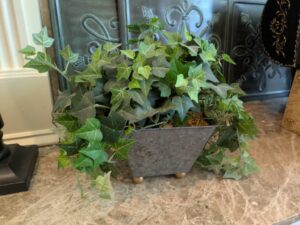 PXL_20260407_193306350