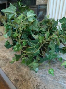 PXL_20260407_193315844