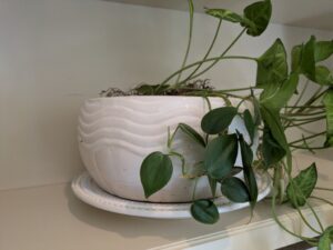 PXL_20260407_193356860