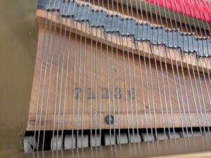 PXL_20260407_194439679