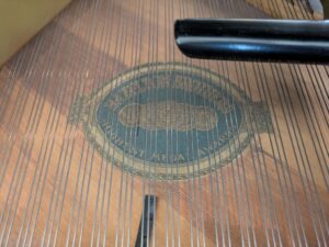 PXL_20260407_194446320