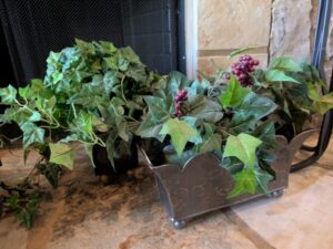 PXL_20260407_195023581