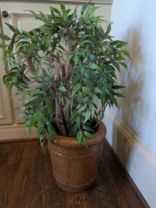 PXL_20260407_195046255