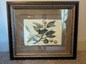 PXL_20260407_200039592