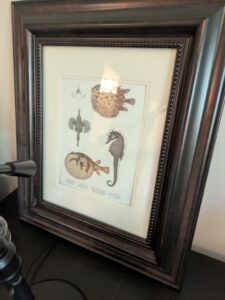 PXL_20260407_200657404