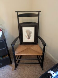 PXL_20260407_200733458