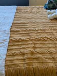 PXL_20260407_201034695