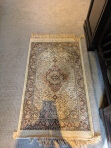 PXL_20260408_132358198