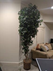 PXL_20260408_133434359