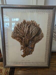 PXL_20260408_173552083