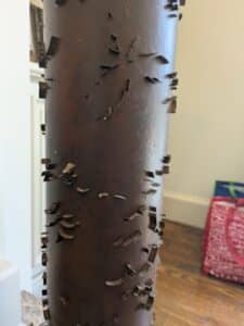 PXL_20260408_173715712