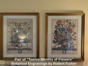 Pair-of-Twelve-Months-of-Flowers-Botanical-Engravings-by-Robert-Furber
