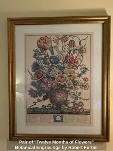Pair-of-Twelve-Months-of-Flowers-Botanical-Engravings-by-Robert-Furber-second-image