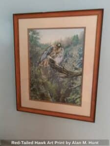 Red-Tailed-Hawk-Art-Print-by-Alan-M.-Hunt