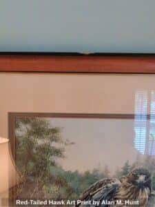 Red-Tailed-Hawk-Art-Print-by-Alan-M.-Hunt-second-image