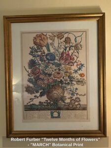 Robert-Furber-Twelve-Months-of-Flowers-MARCH-Botanical-Print