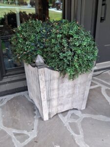 Rustic-Wooden-Planter-with-Faux-Boxwood-and-Lights