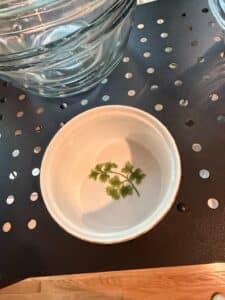 Sadek-Parsley-Oven-to-Table-Cookware-Ramekin-second-image
