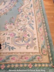 Serena-Aubusson-II-Floral-Area-Rug