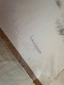 Southern-Snow-Limited-Edition-Print-by-Louis-Jones-third-image