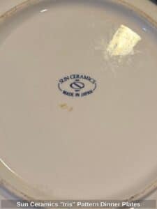 Sun-Ceramics-Iris-Pattern-Dinner-Plates-second-image