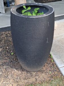 Textured-Black-Tall-Egg-Planter
