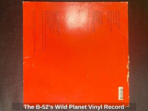 The-B-s-Wild-Planet-Vinyl-Record-second-image