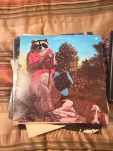 The-Rascals-I-Aint-Gonna-Eat-Out-My-Heart-Anymore-Vinyl-Record