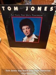 Tom-Jones-Say-Youll-Stay-Until-Tomorrow-Vinyl-Record-1