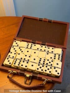 Vintage-Bakelite-Domino-Set-with-Case
