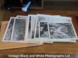 Vintage-Black-and-White-Photographs-Lot